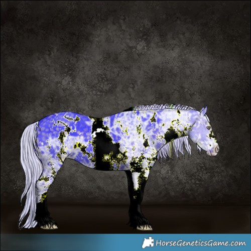 Horse Color:Watercolor White Spotted Silver Black Chinchilla Ice 
