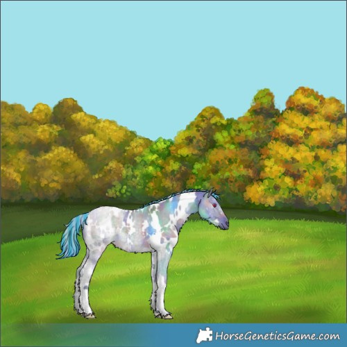 Horse Color:Painted Nacre White Spotted Silver Grullo Chinchilla 