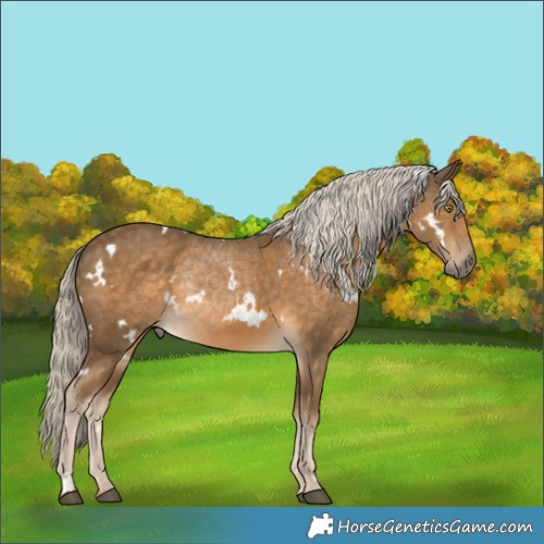 Horse Color:White Spotted Chocolate Palomino Mushroom 