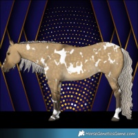Horse Color:White Spotted Silver Buckskin Dun 