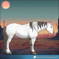 Horse Color:White Spotted Liver Red Dun Appaloosa