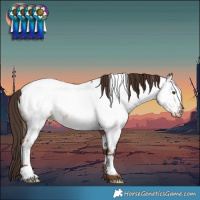 Horse Color:White Spotted Liver Red Dun Near Fewspot