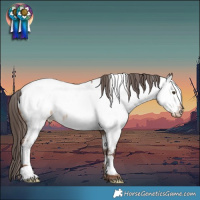 Horse Color:White Spotted Liver Red Dun Near Fewspot 