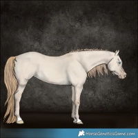 Horse Color:Smoky Creme Dun 