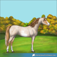 Horse Color:White Spotted Red Roan Frame
