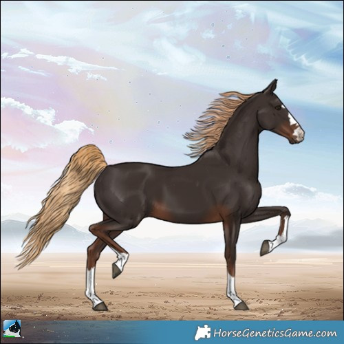 Horse Color:Liver Chestnut 
