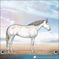 Horse Color:White Spotted Buckskin Pearl Splash Varnish