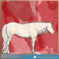 Horse Color:Silver Buckskin Pearl 