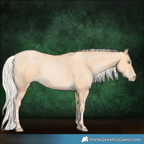 Horse Color:White Spotted Silver Buckskin Pearl 