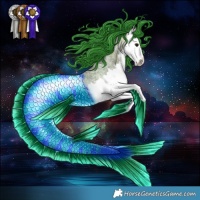 Horse Color:Watercolor Bay Ice Roan Splash 