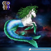 Horse Color:Watercolor Bay Ice Roan Splash 