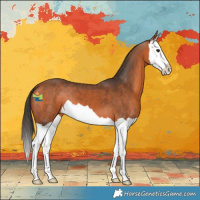 Horse Color:Bay Splash 