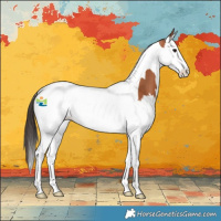 Horse Color:Bay Splash Tobiano