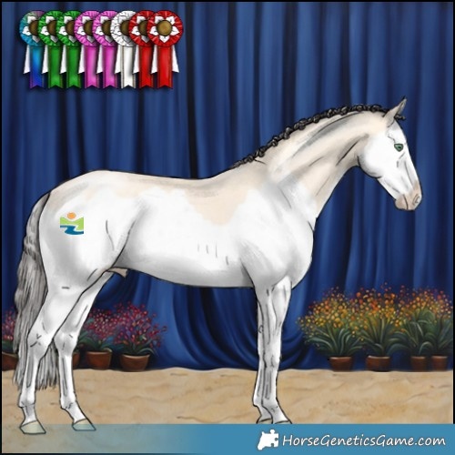 Horse Color:Amber Cream Champagne Splash 