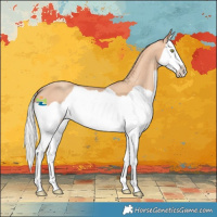Horse Color:Silver Amber Champagne Splash 
