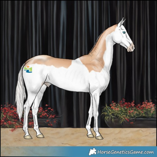 Horse Color:Silver Amber Champagne Splash 
