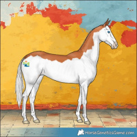 Horse Color:Silver Bay Splash