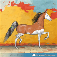 Horse Color:Bay Splash 