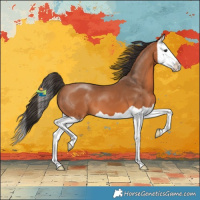 Horse Color:Bay Splash 