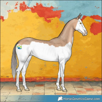 Horse Color:Amber Champagne Splash 