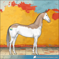 Horse Color:Amber Champagne Splash 