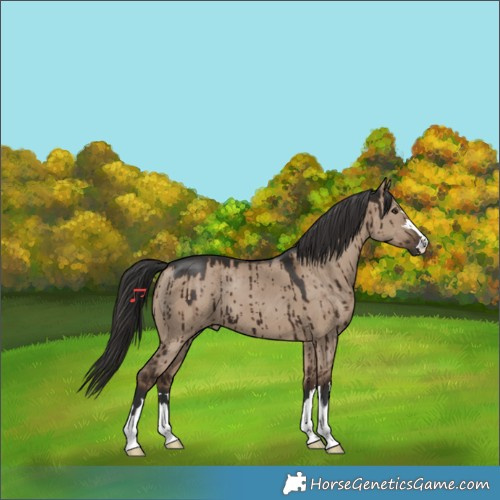 Horse Color:Liver Red Dun Brindle 