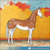 Horse Color:Silver Bay Splash 