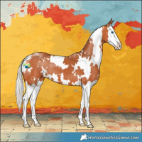 Horse Color:White Spotted Silver Bay Splash 