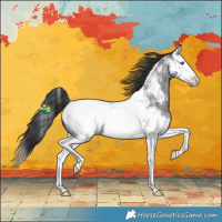 Horse Color:Blue Roan Splash Near Fewspot Rabicano 
