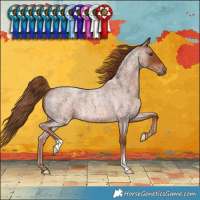 Horse Color:Red Roan 