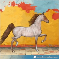 Horse Color:Red Roan 