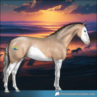 Horse Color:Amber Champagne Splash