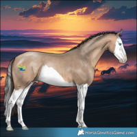 Horse Color:Amber Champagne Splash 
