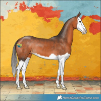 Horse Color:Bay Splash 