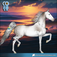 Horse Color:Gray Classic Champagne Splash Rabicano 