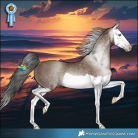 Horse Color:Gray Classic Champagne Splash Rabicano 