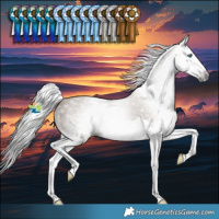 Horse Color:Gray Classic Champagne Splash Rabicano 