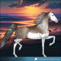Horse Color:Gray Classic Champagne Splash Rabicano 
