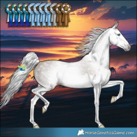 Horse Color:Gray Classic Champagne Splash Rabicano 