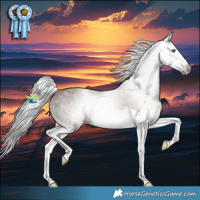 Horse Color:Gray Classic Champagne Splash Rabicano 