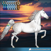 Horse Color:Gray Classic Champagne Splash Rabicano