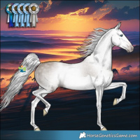 Horse Color:Gray Classic Champagne Splash Rabicano 