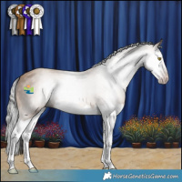 Horse Color:Gray Amber Champagne Splash 