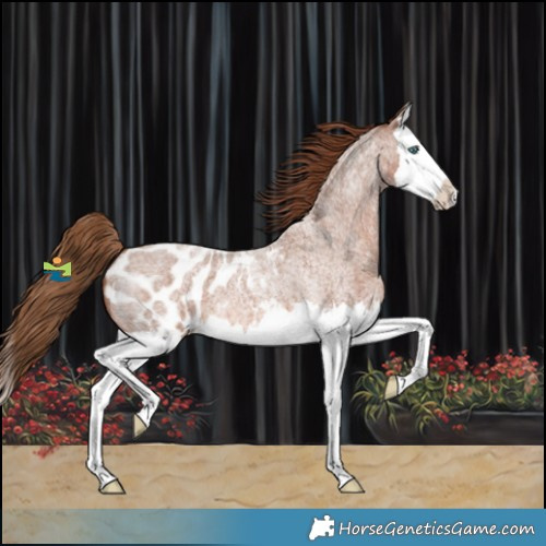Horse Color:Red Roan Splash Blanket 