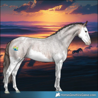 Horse Color:Bay Roan Splash Varnish 