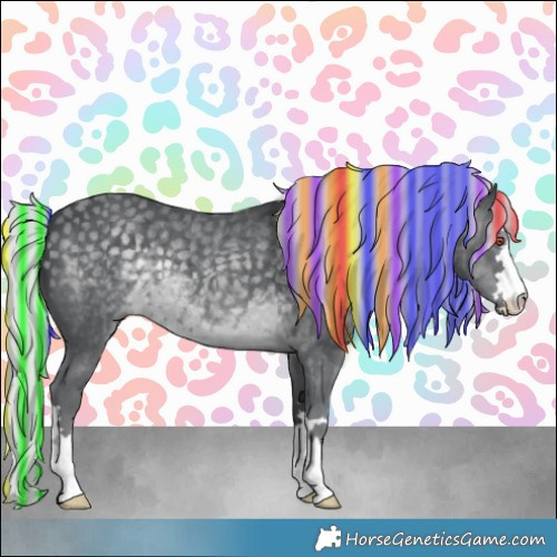 Horse Color:Painted Silver Black Chinchilla 