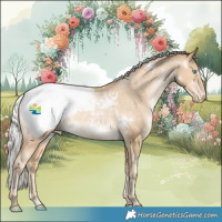 Horse Color:White Spotted Silver Brown Snowdrop Pearl Snowcap Rabicano 
