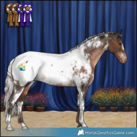 Horse Color:White Spotted Silver Brown Appaloosa Rabicano 