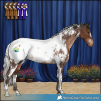 Horse Color:White Spotted Silver Brown Near Fewspot Rabicano 
