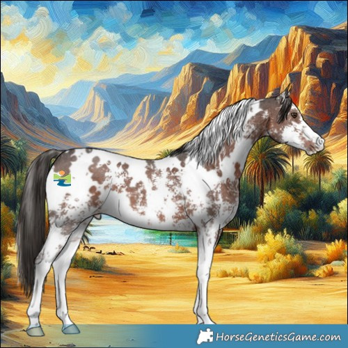 Horse Color:White Spotted Liver Chestnut Sabino 